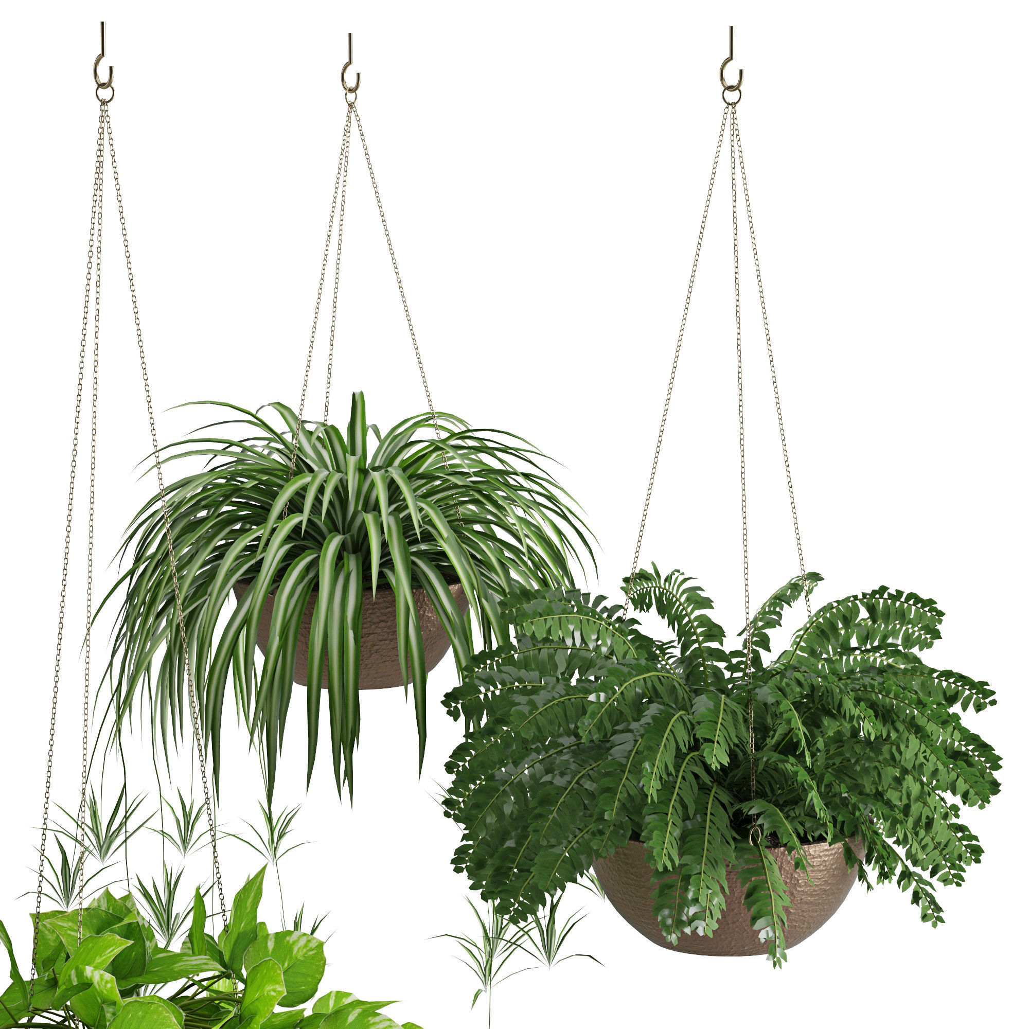 Houseplant 43 3D model_4