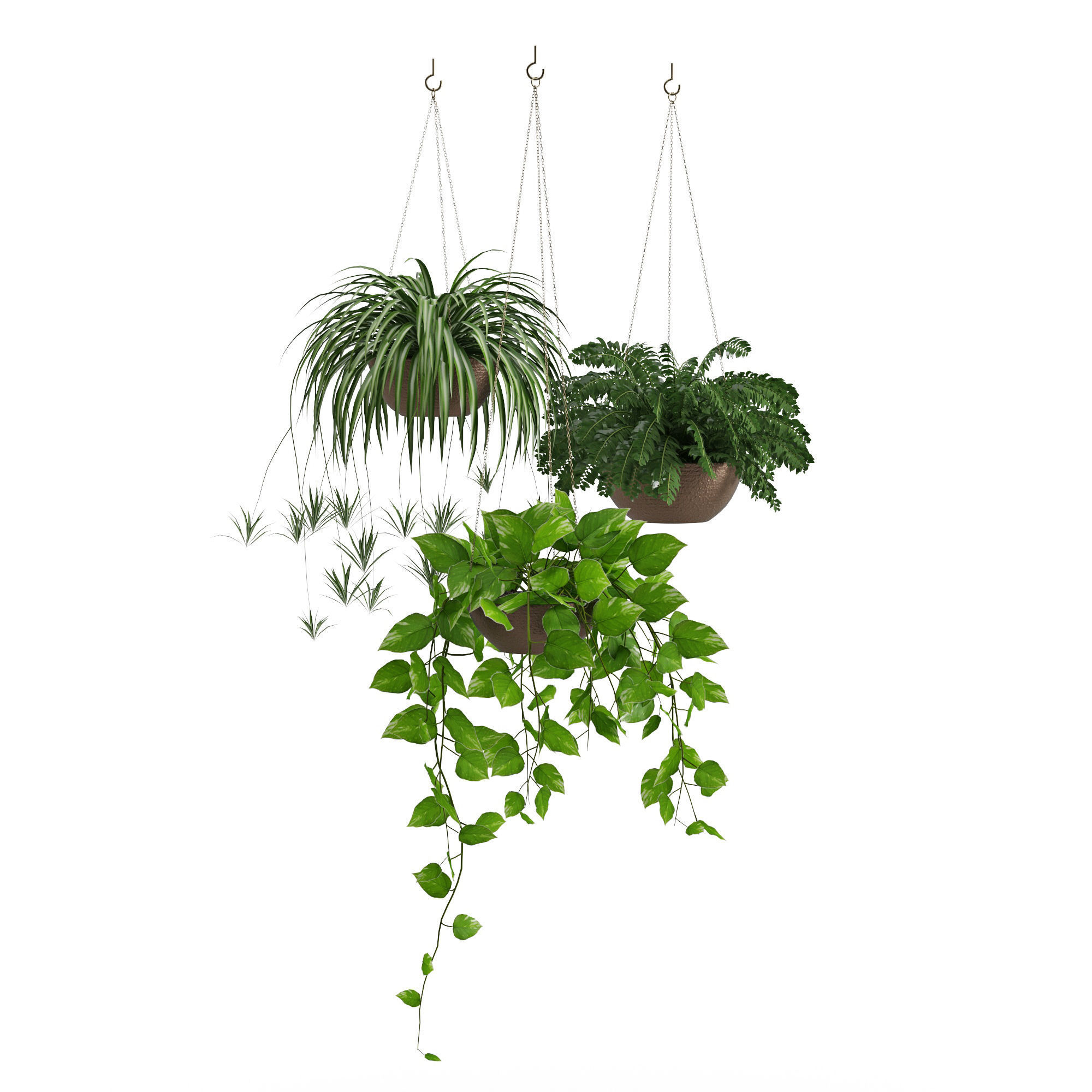Houseplant 43 3D model_1