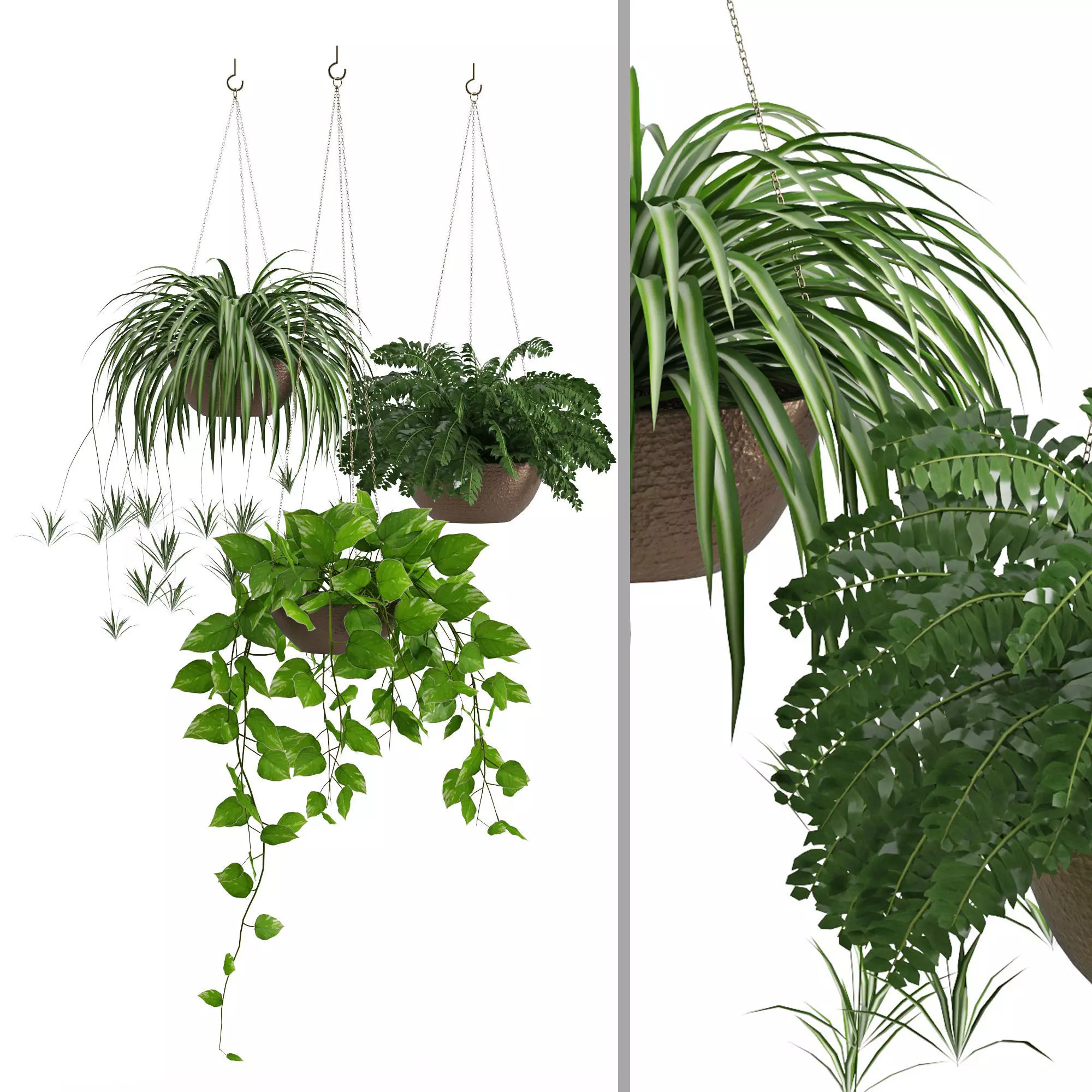 Houseplant 43 3D model_0
