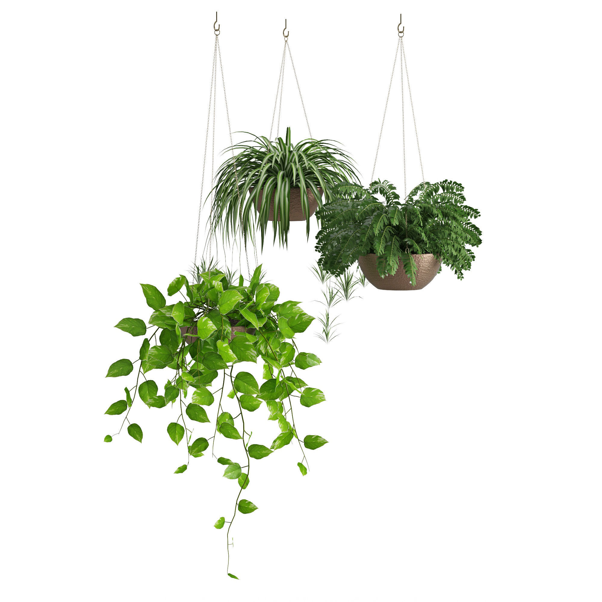 Houseplant 43 3D model_5
