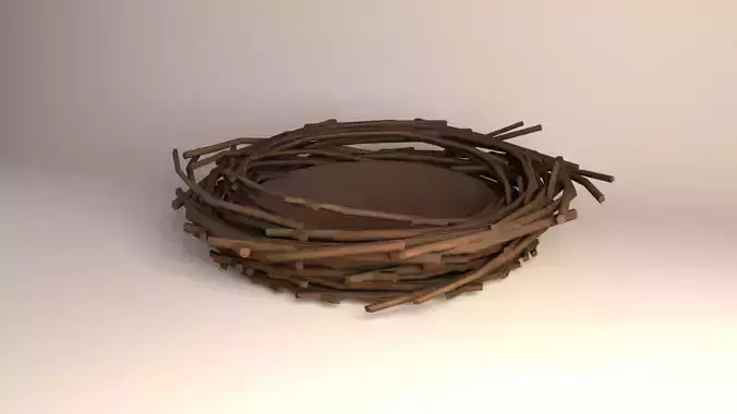 Bird Nest  