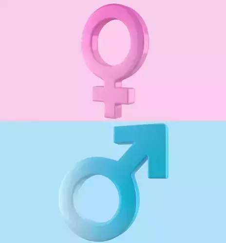 Gender Symbols Set 3D model