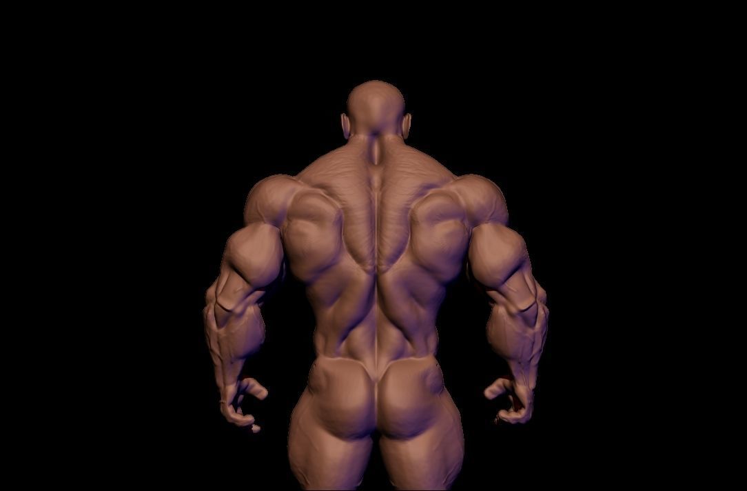 STRONG BODYBUILDER FIGHTER 3D Model Collection_26