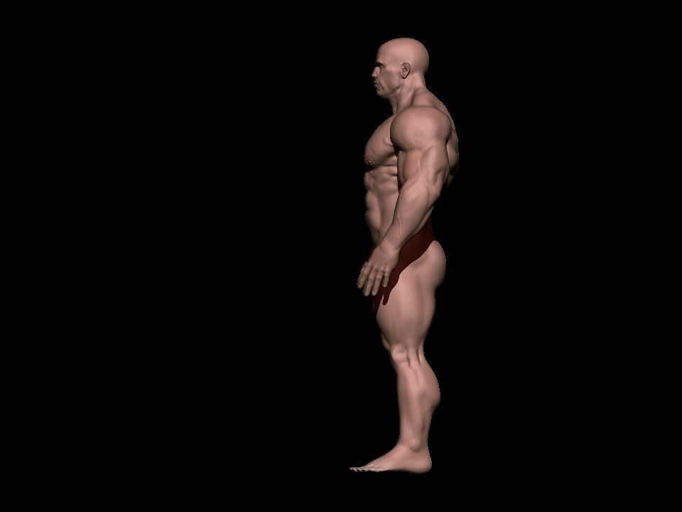 STRONG BODYBUILDER FIGHTER 3D Model Collection_3