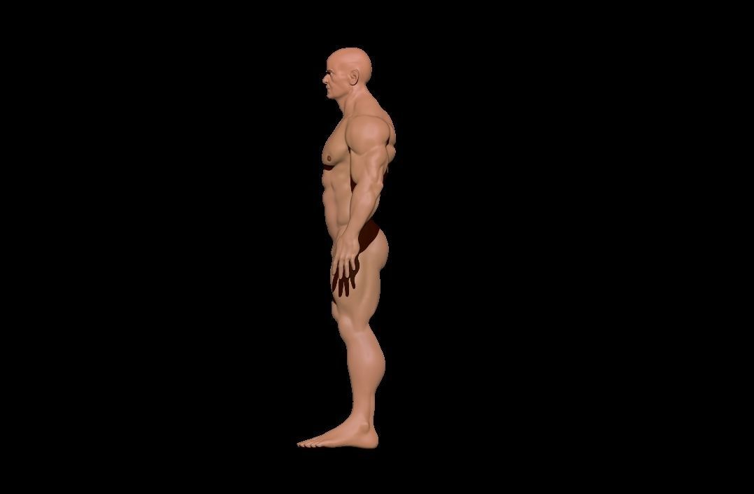 STRONG BODYBUILDER FIGHTER 3D Model Collection_13