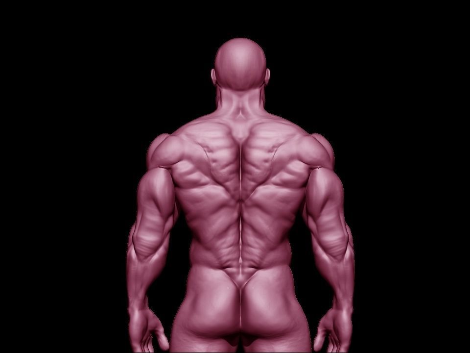 STRONG BODYBUILDER FIGHTER 3D Model Collection_38