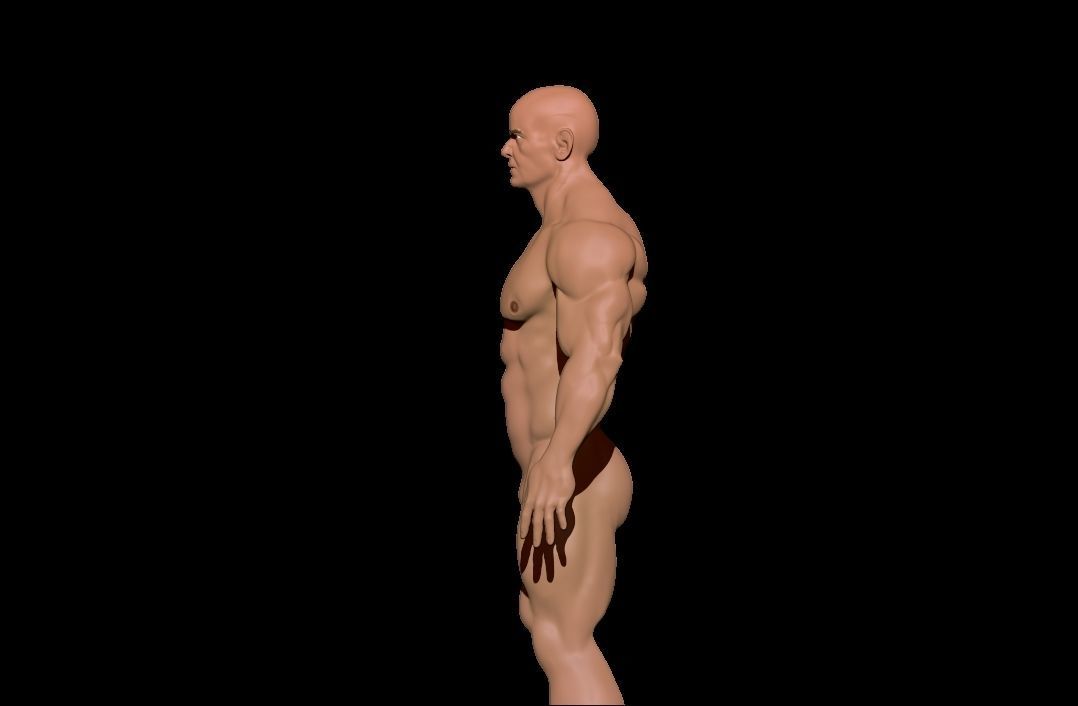STRONG BODYBUILDER FIGHTER 3D Model Collection_22