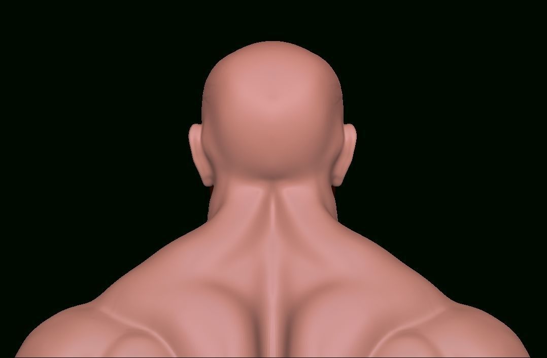 STRONG BODYBUILDER FIGHTER 3D Model Collection_15