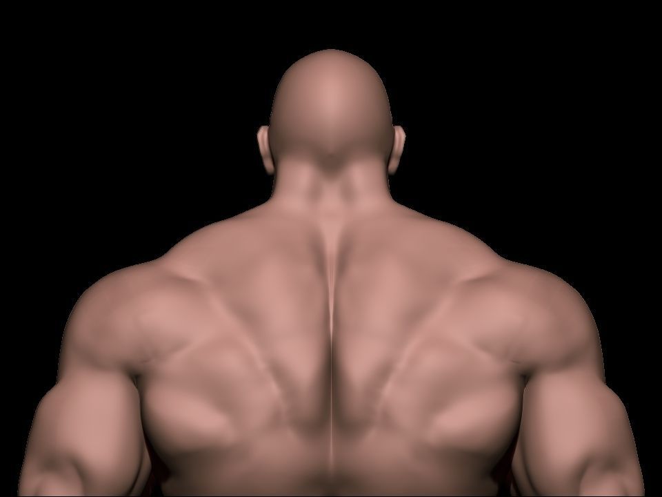STRONG BODYBUILDER FIGHTER 3D Model Collection_10