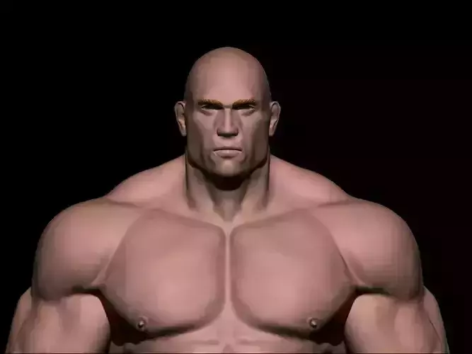 STRONG BODYBUILDER FIGHTER 3D Model Collection