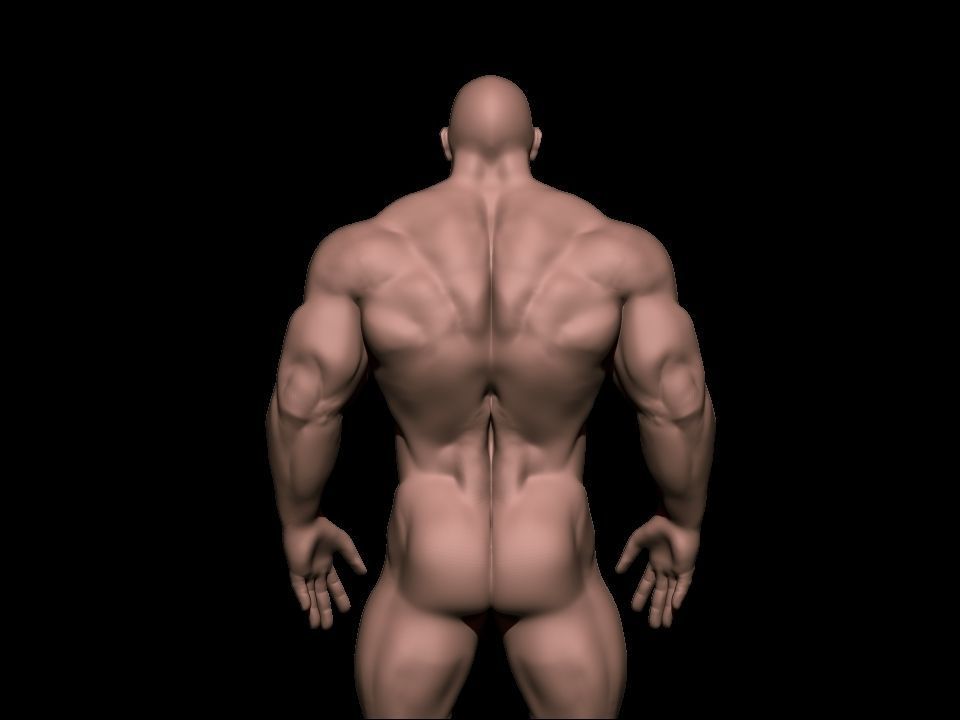STRONG BODYBUILDER FIGHTER 3D Model Collection_8