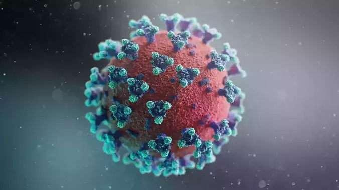 Corona virus covid-19 3D model
