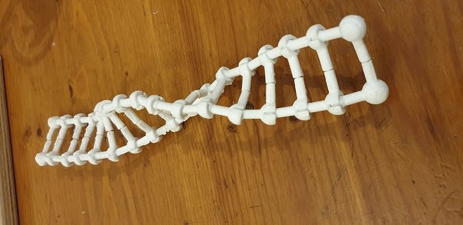 DNA Model print in place 3D print model