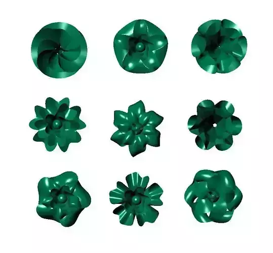 Flower Design Surface Model