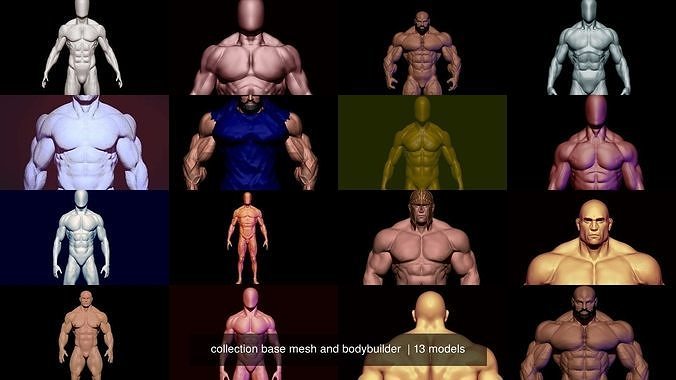 collection base mesh and bodybuilder  