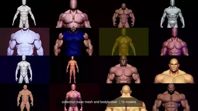 collection base mesh and bodybuilder  