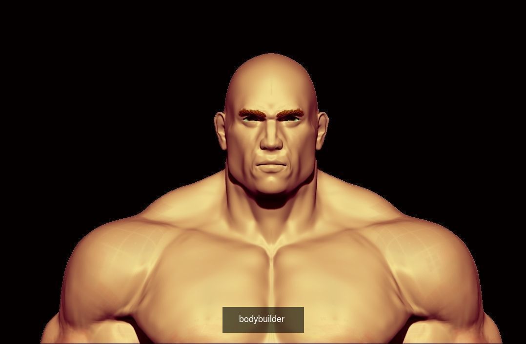 collection base mesh and bodybuilder  _19