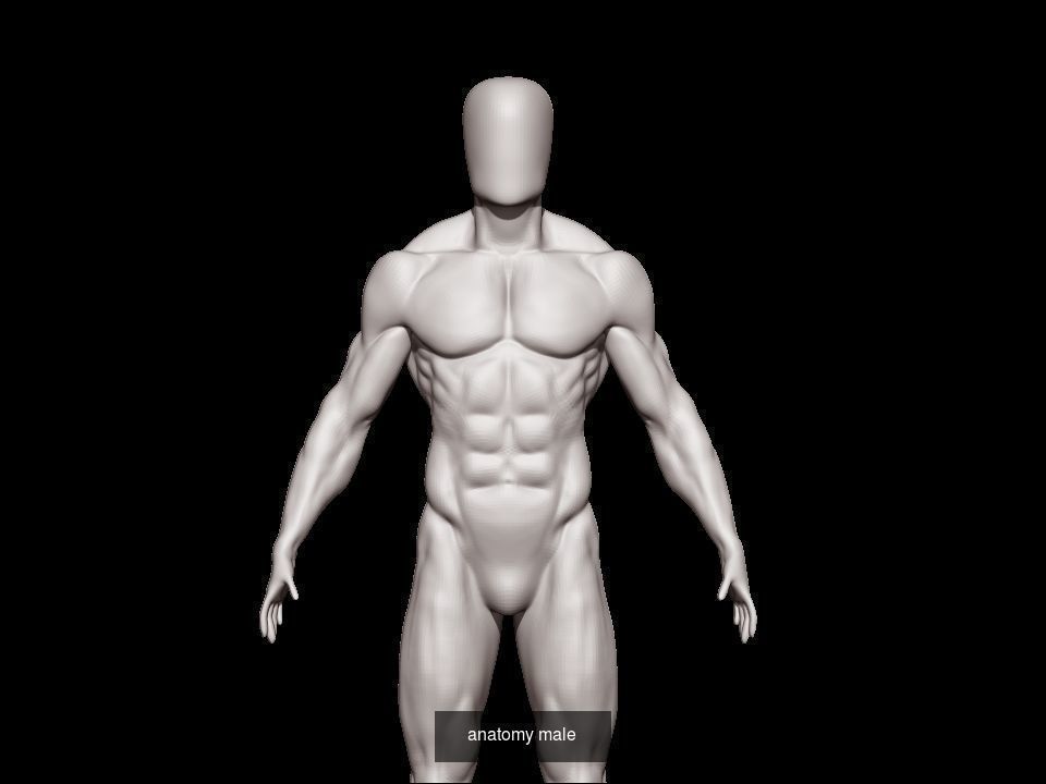 collection base mesh and bodybuilder  _9