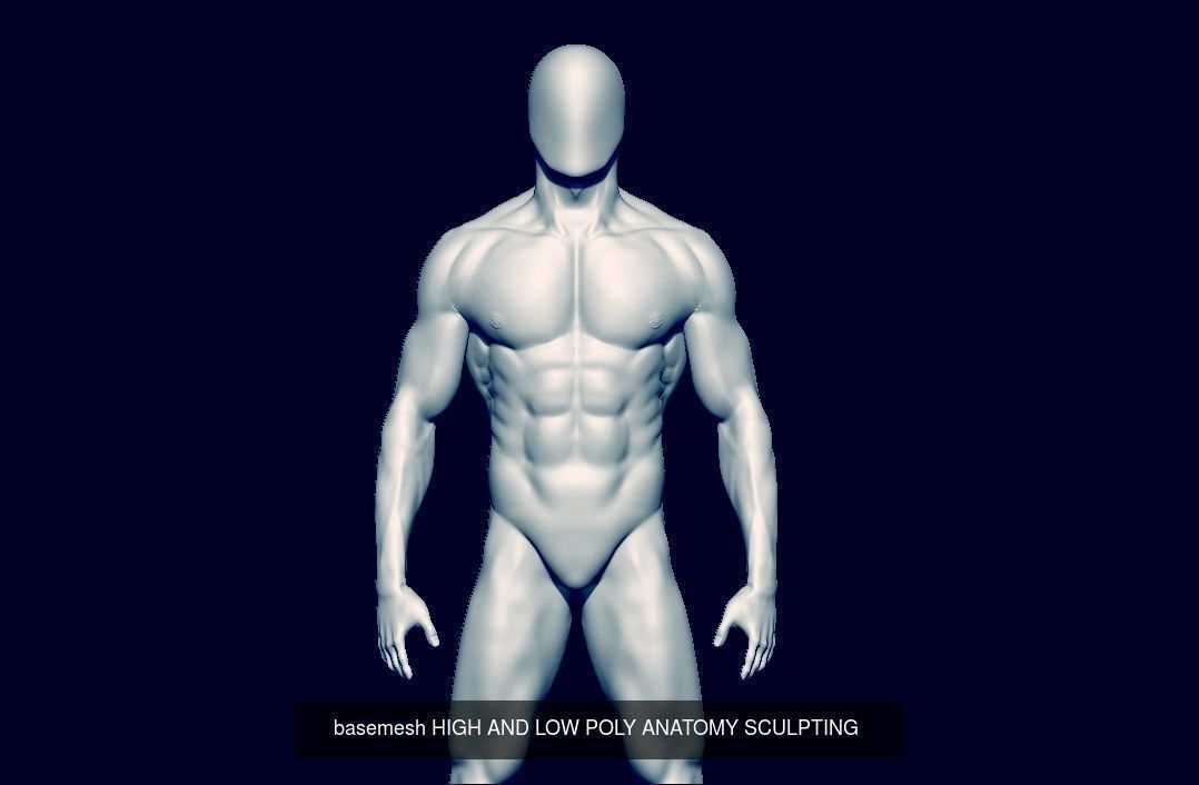 collection base mesh and bodybuilder  _17