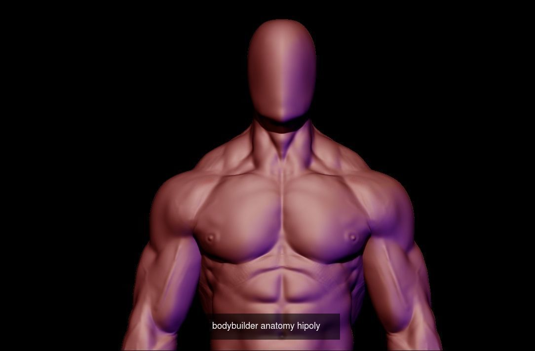 collection base mesh and bodybuilder  _13