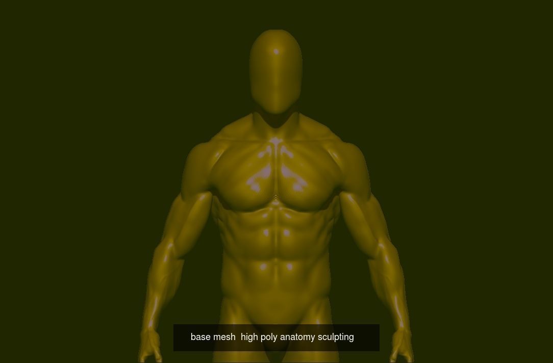 collection base mesh and bodybuilder  _16