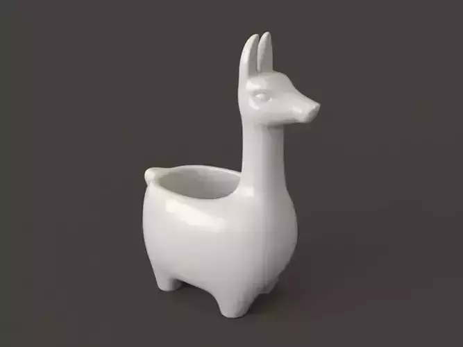 alpaca llama
