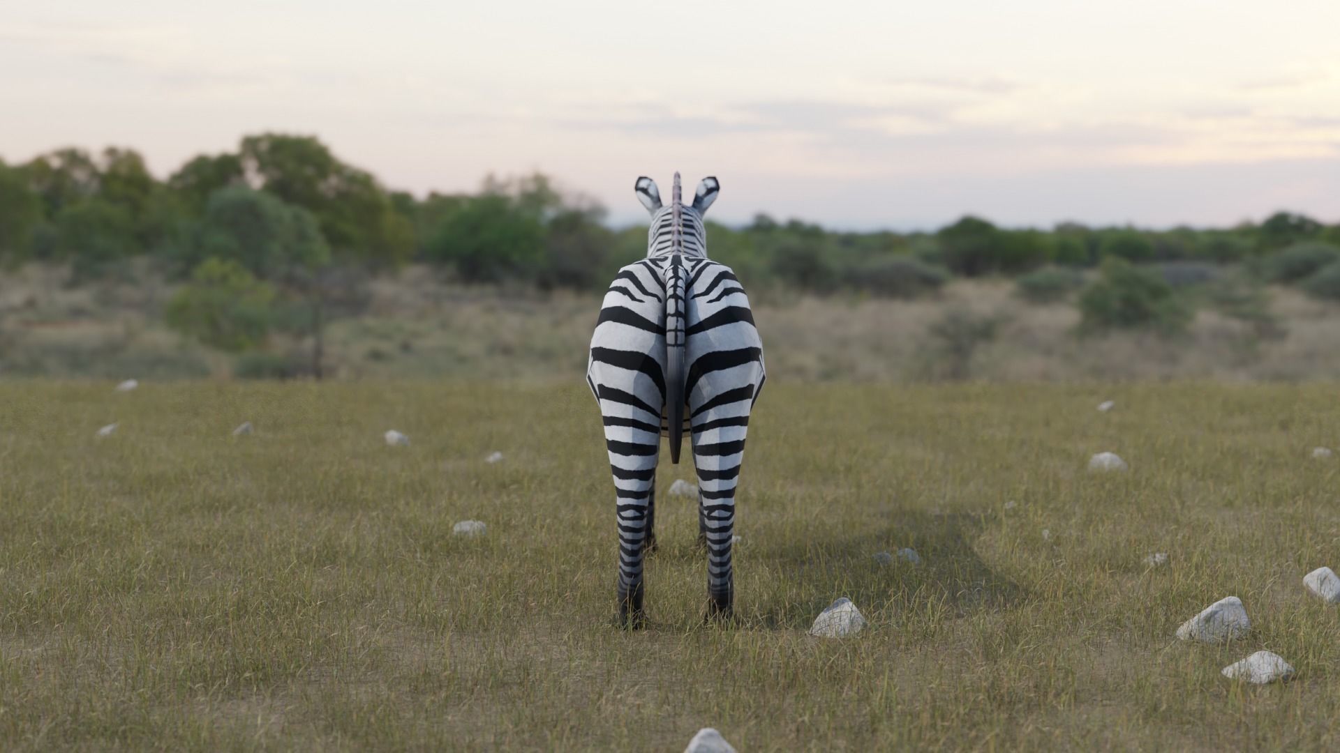 Zebra donkey Low-poly 3D model_5