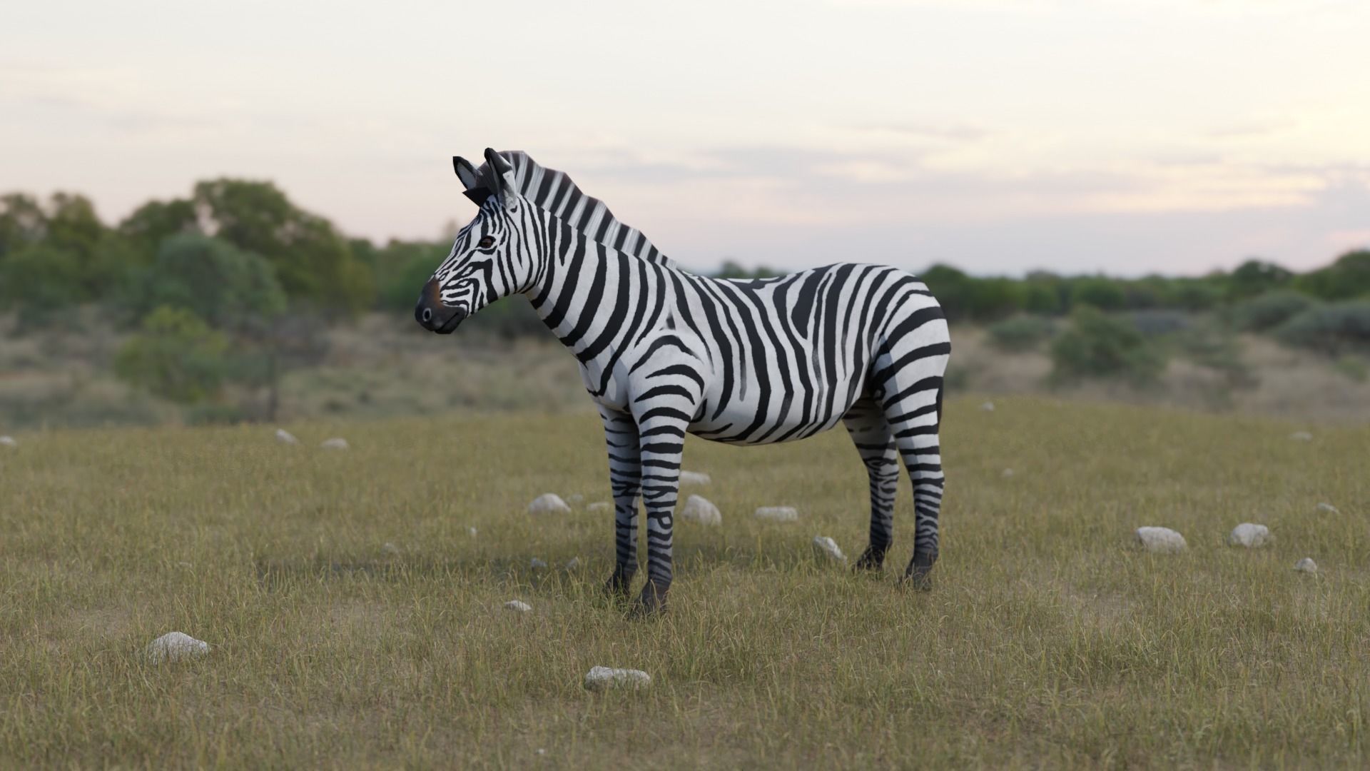 Zebra donkey Low-poly 3D model_2