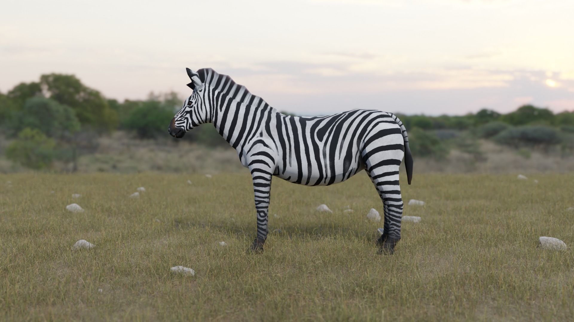 Zebra donkey Low-poly 3D model_4