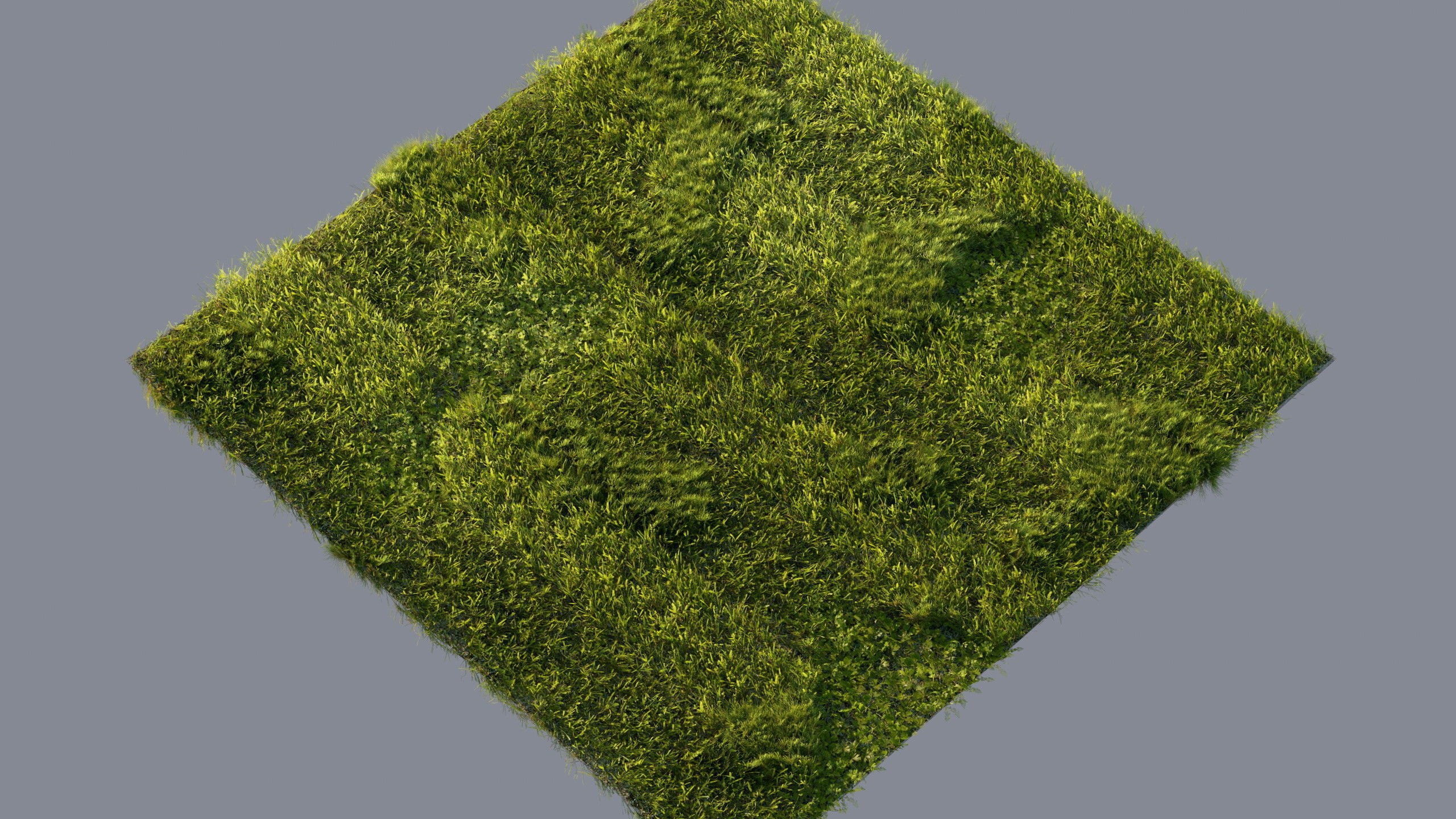 Scanned real grass01 Low-poly 3D model_16