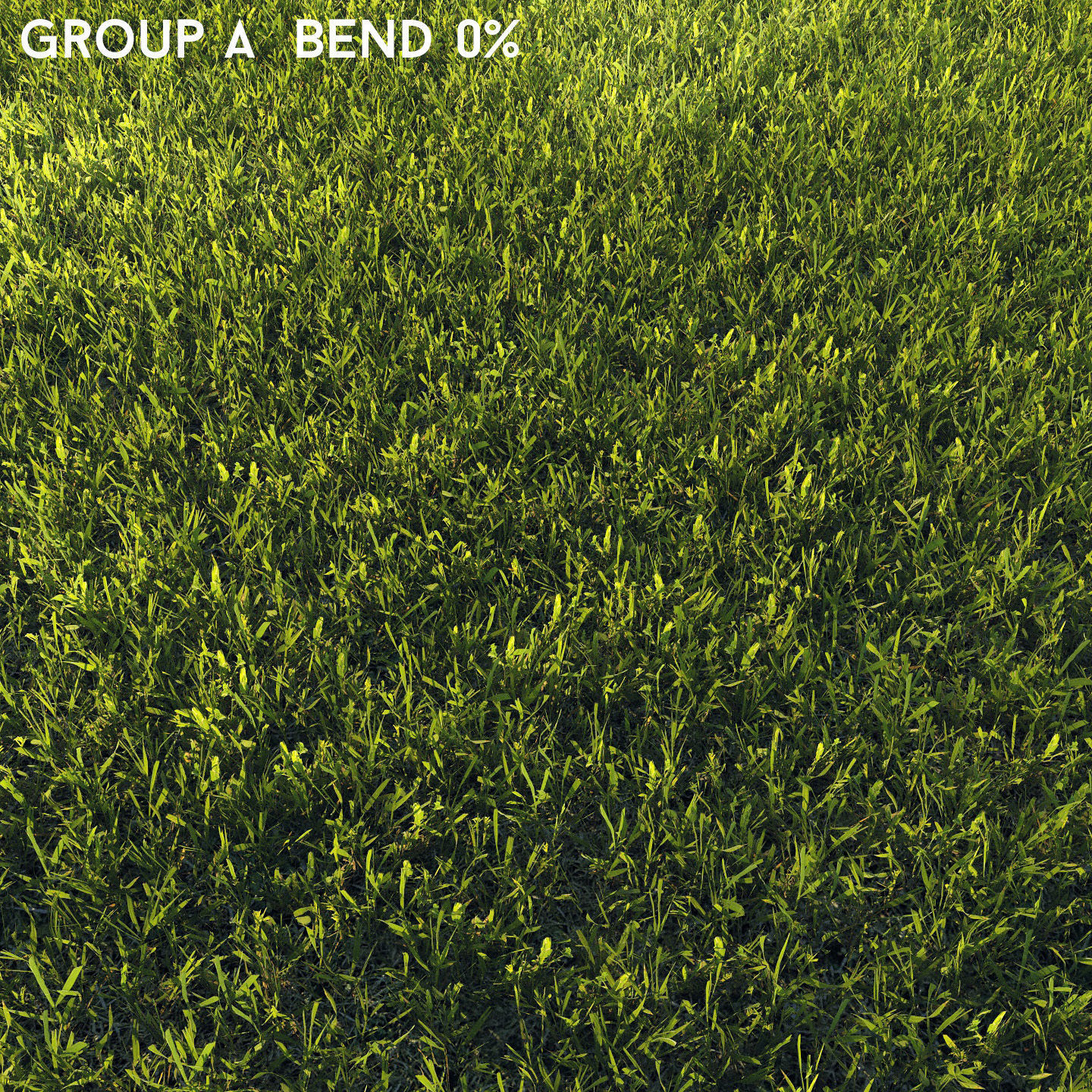 Scanned real grass01 Low-poly 3D model_11