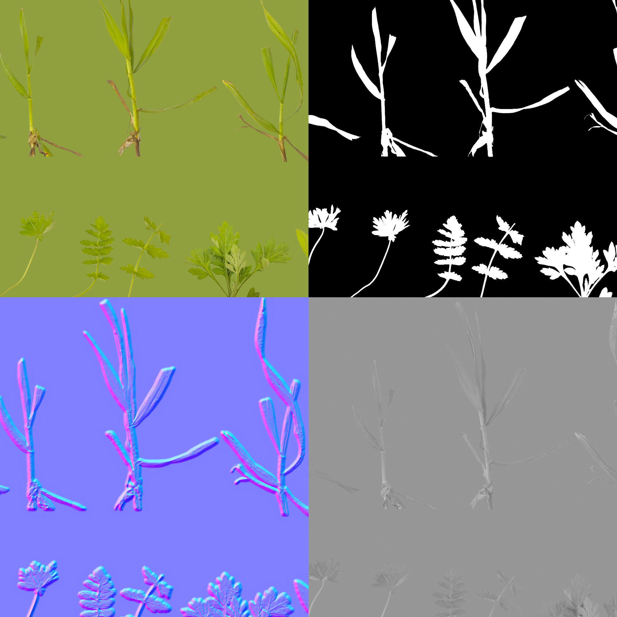 Scanned real grass01 Low-poly 3D model_23