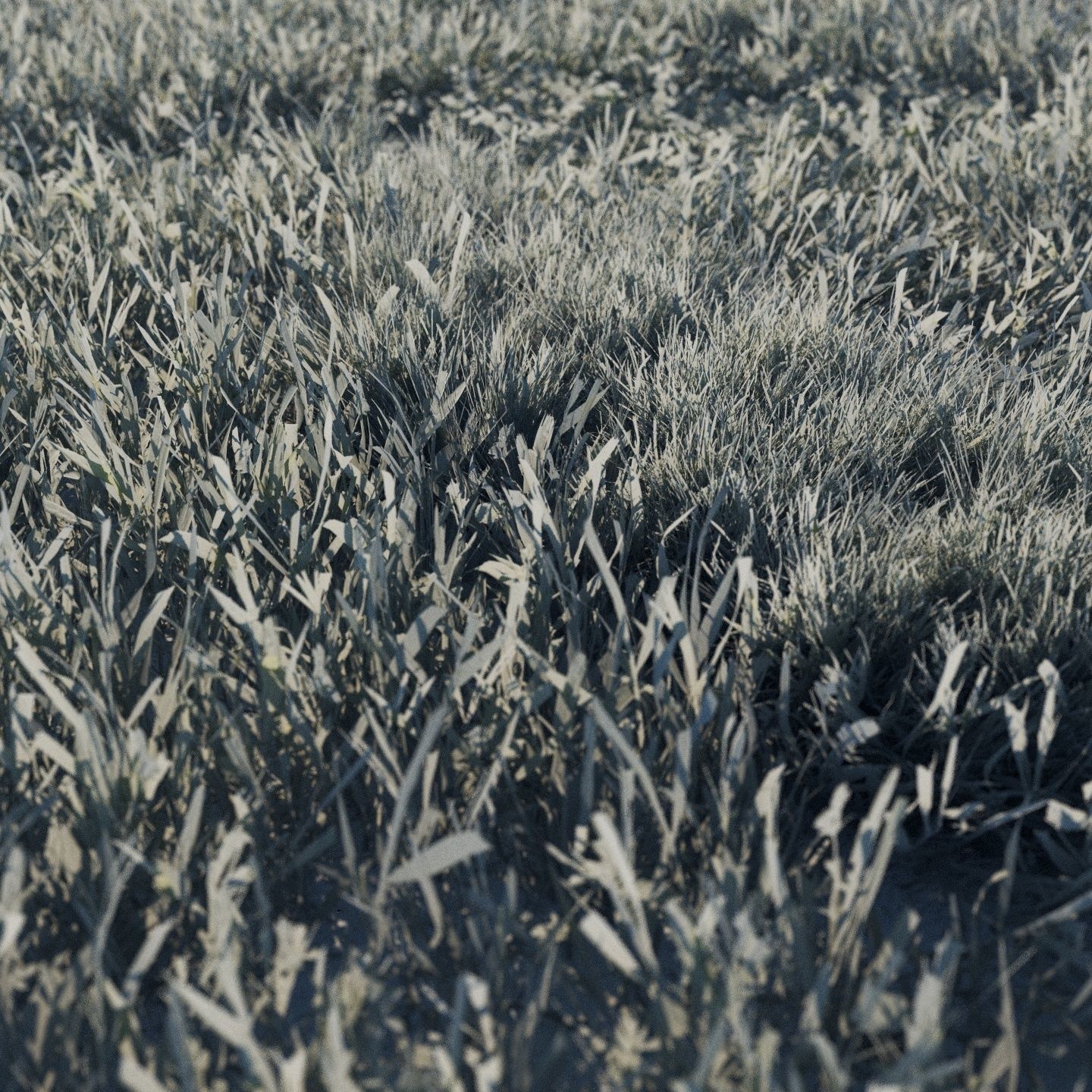 Scanned real grass01 Low-poly 3D model_7