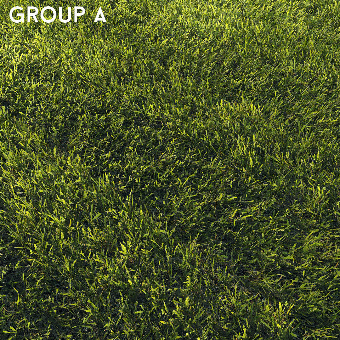 Scanned real grass01 Low-poly 3D model_10