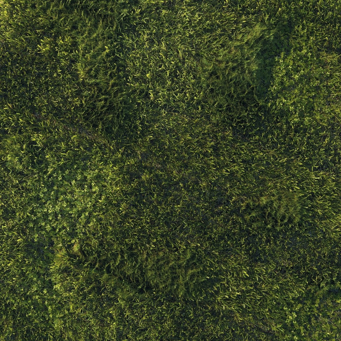 Scanned real grass01 Low-poly 3D model_9