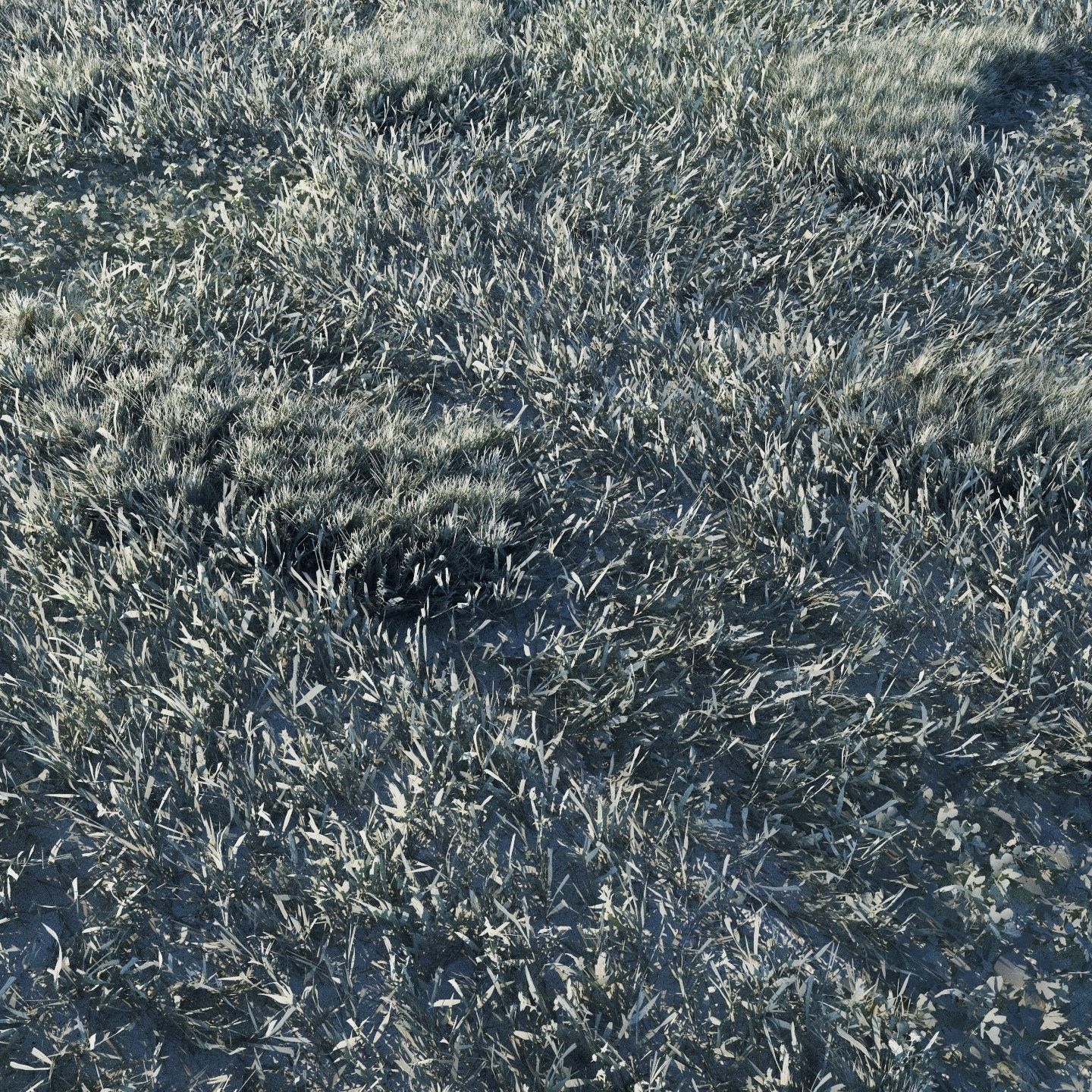 Scanned real grass01 Low-poly 3D model_5