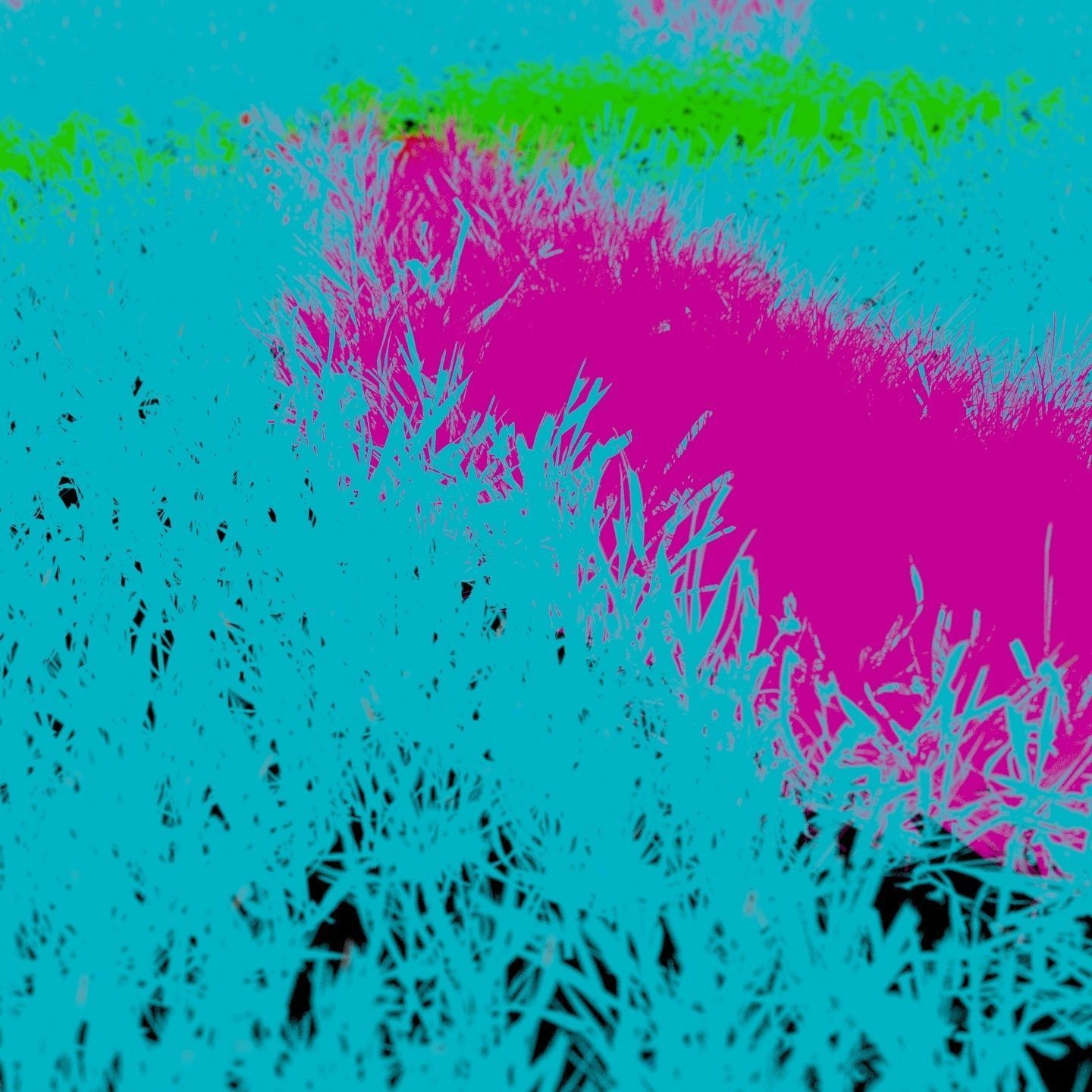 Scanned real grass01 Low-poly 3D model_8