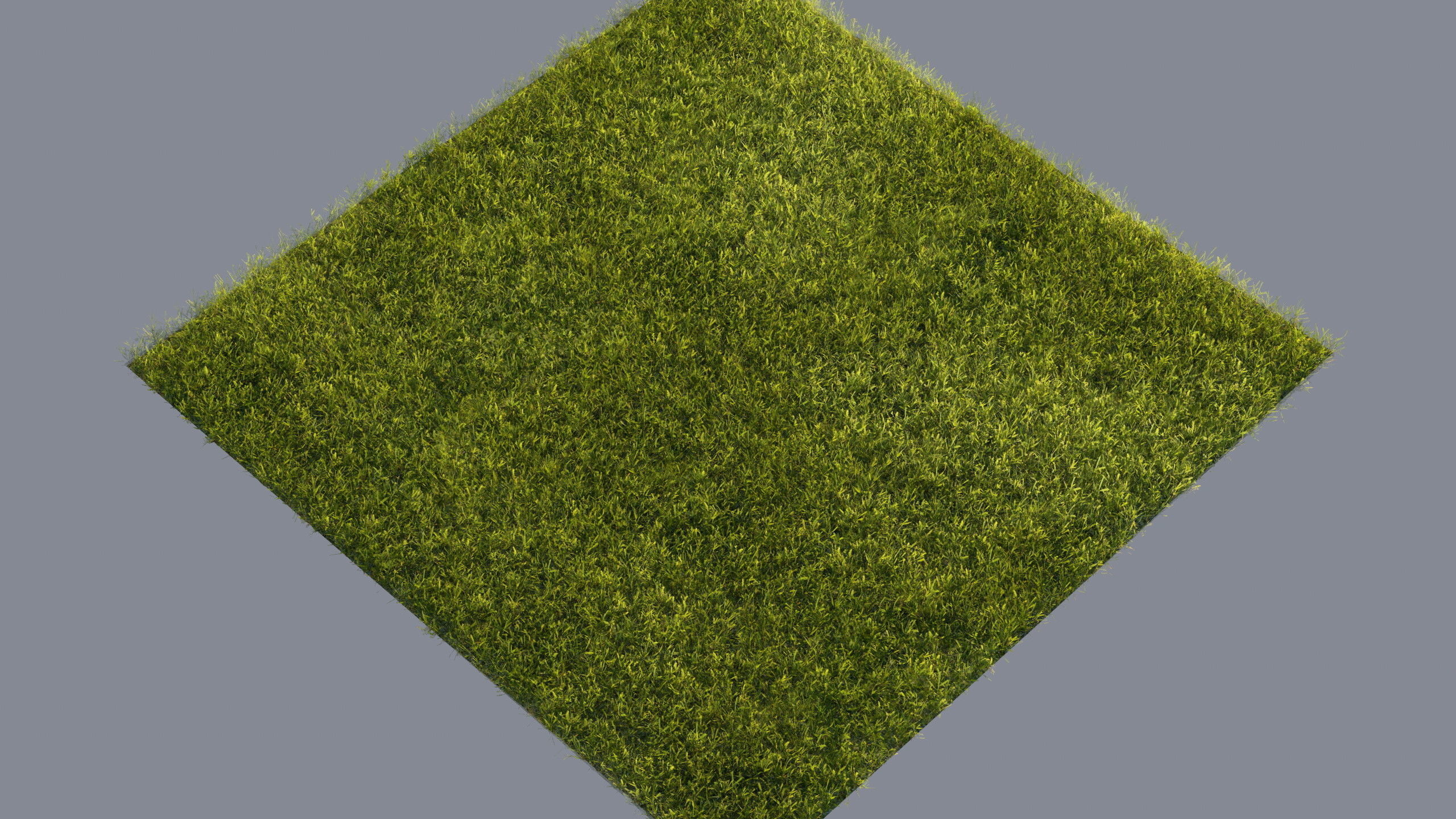 Scanned real grass01 Low-poly 3D model_20