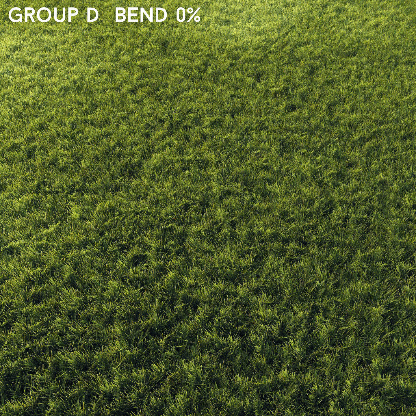 Scanned real grass01 Low-poly 3D model_13