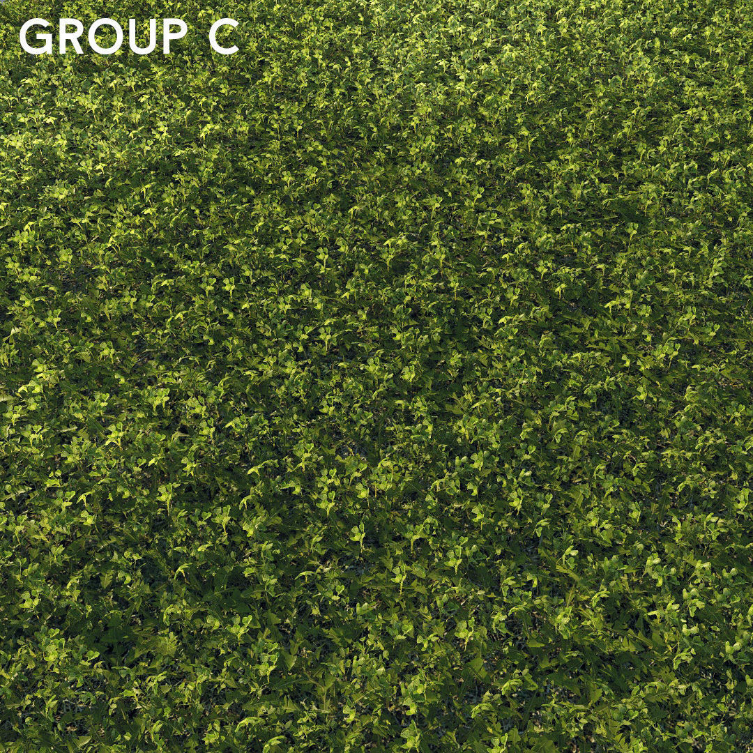 Scanned real grass01 Low-poly 3D model_15