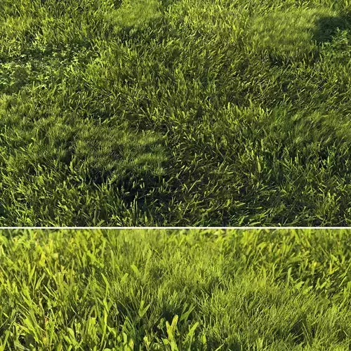 Scanned real grass01 Low-poly 3D model