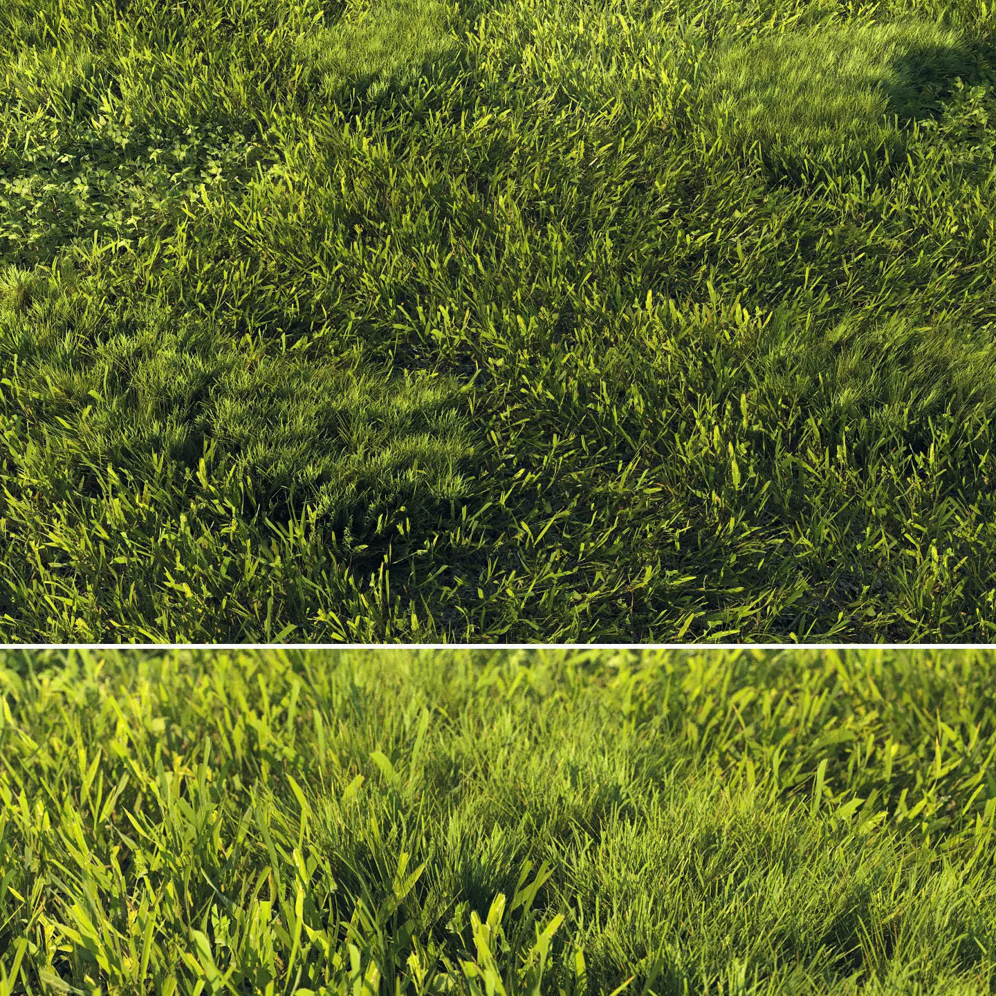 Scanned real grass01 Low-poly 3D model_0