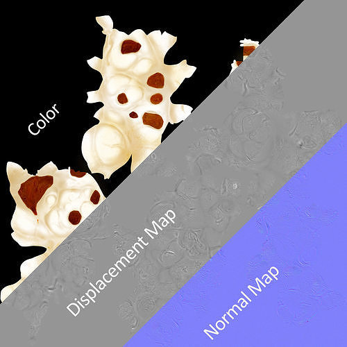 Popcorn 3D model 6