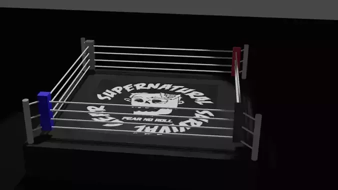 Basic boxing ring  logo not provided