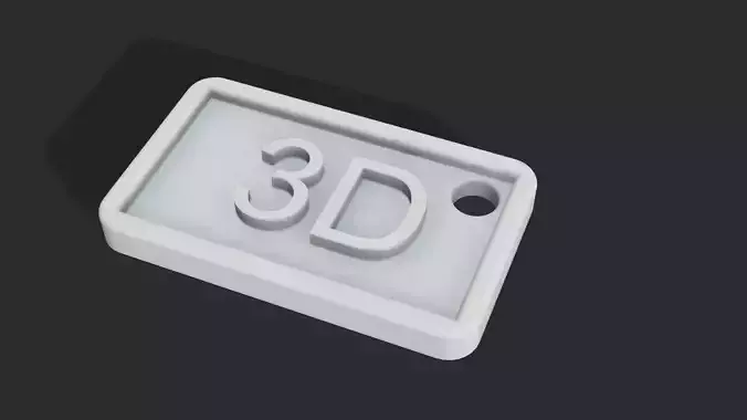 3D Keychain plastic tag