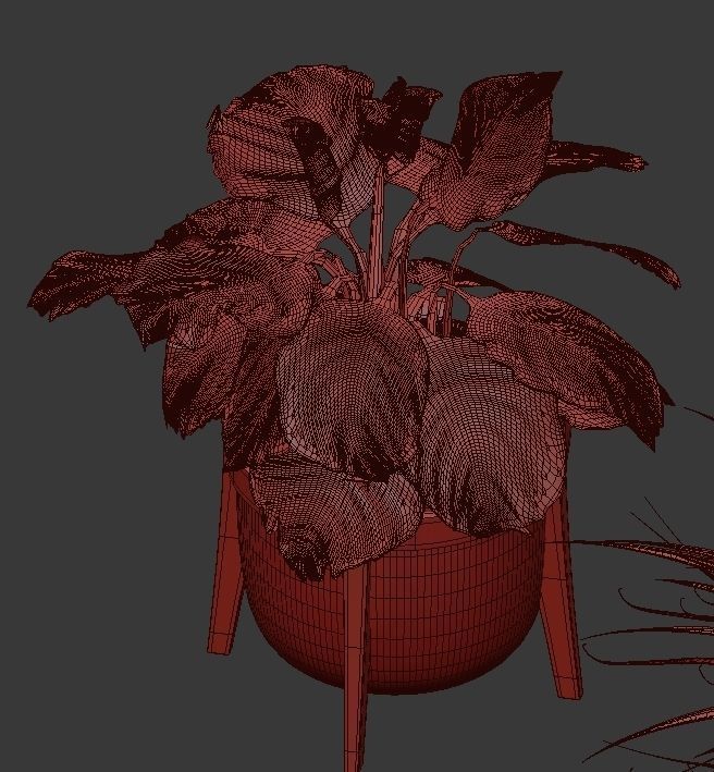 Flower Pack 60  3D model_3