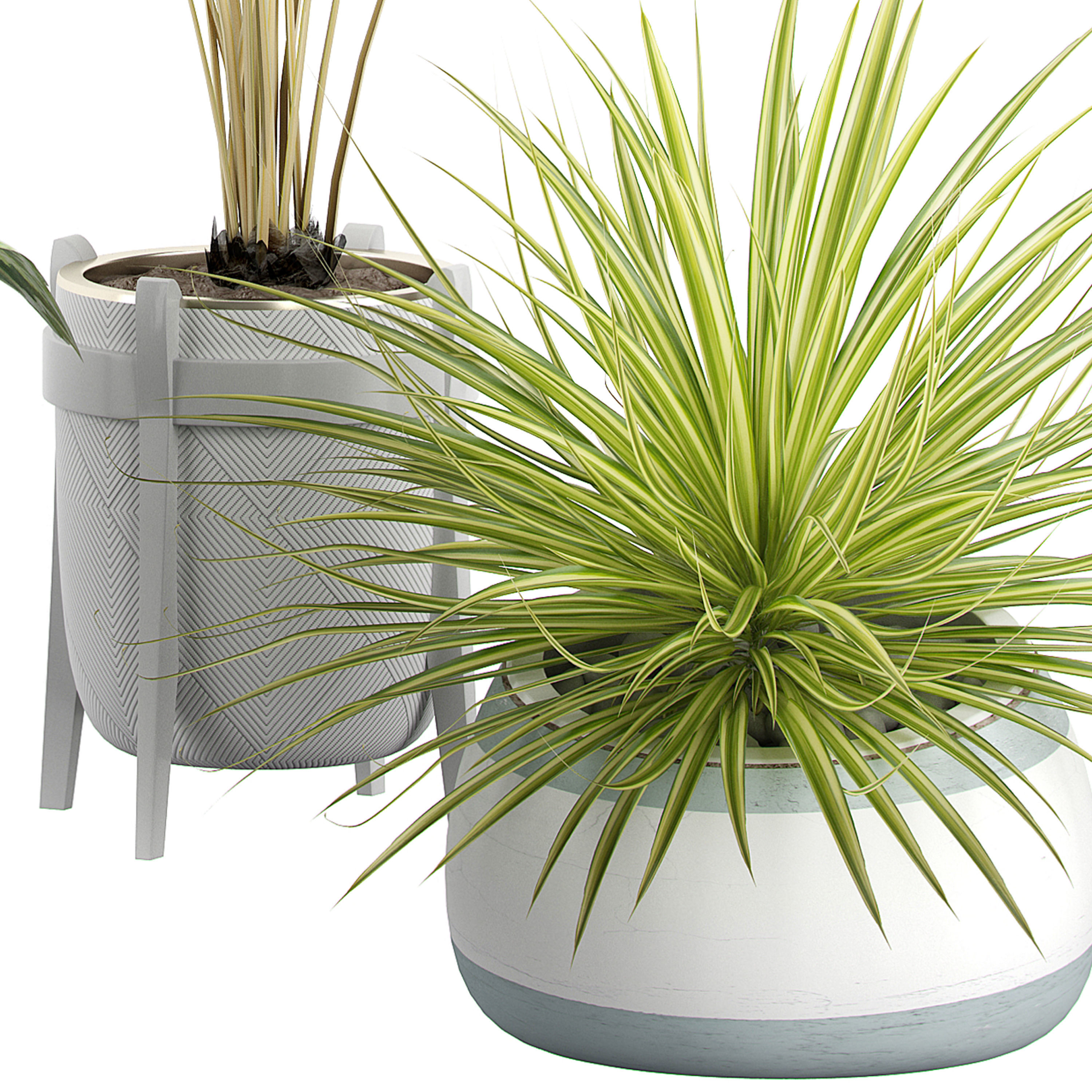 Flower Pack 60  3D model_2