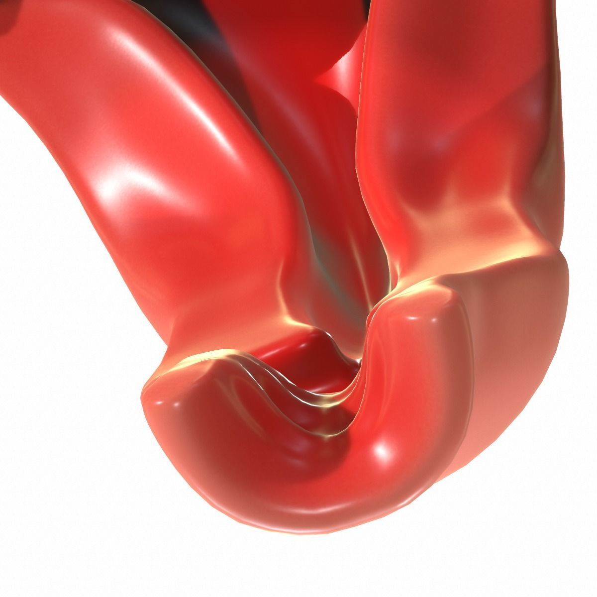 Female Reproductive System 3D model_16