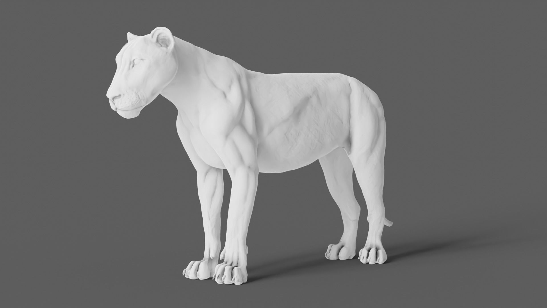 Lion 3D Model animal 3D model_8