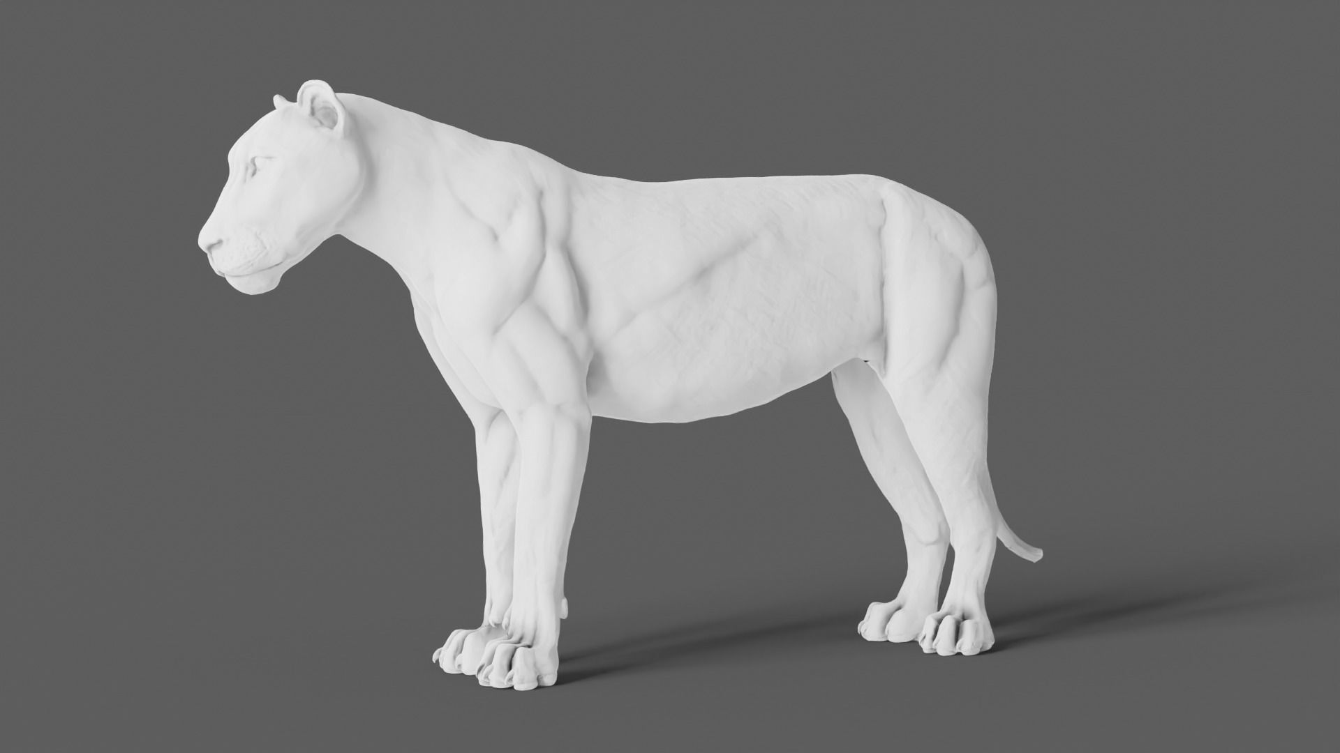 Lion 3D Model animal 3D model_9